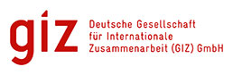 Home logo giz